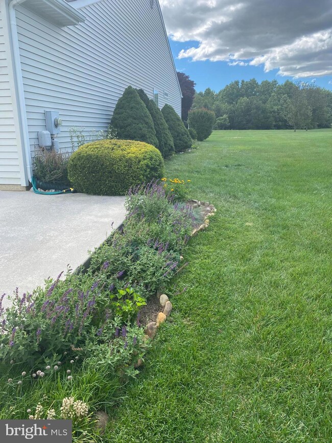 243 Gaunt Dr, Mickleton, NJ 08056 - photo 4