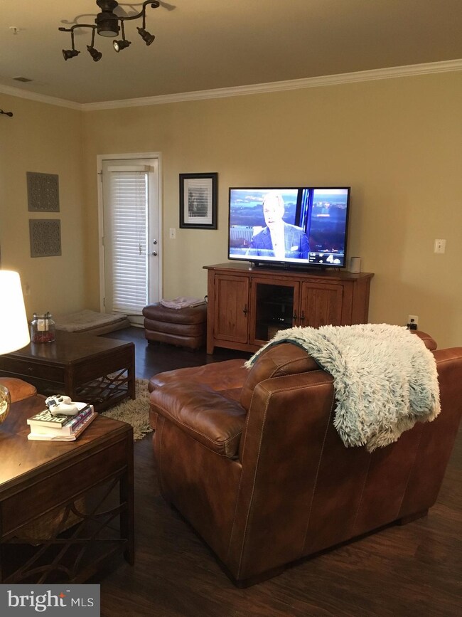 22607 Blue Elder Terrace unit 103, Ashburn, VA 20148 - photo 4