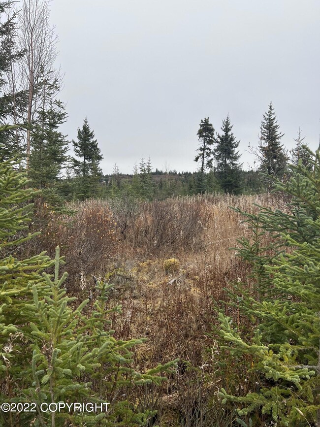 32814 Stacey Ln, Anchor Point, AK 99556 - photo 5