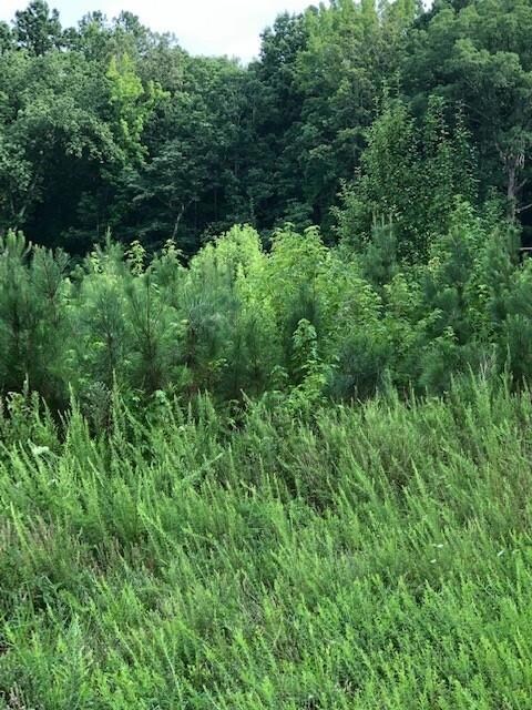 000 Shining Creek Rd, Alberta, VA 23821 - photo 7