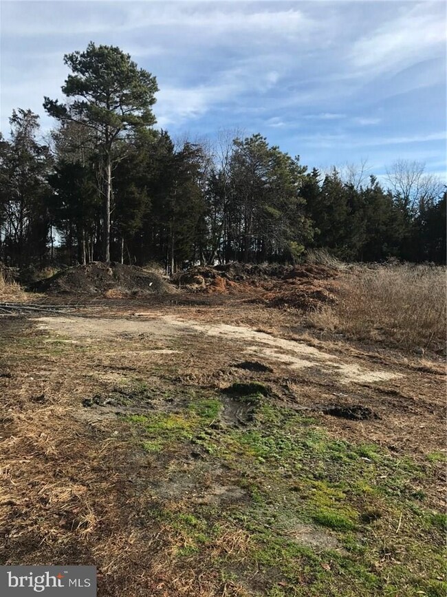 Lot 4.04 Nugentown Rd, Tuckerton, NJ 08087 - photo 7