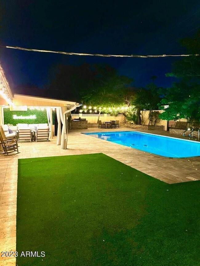 Backyard night