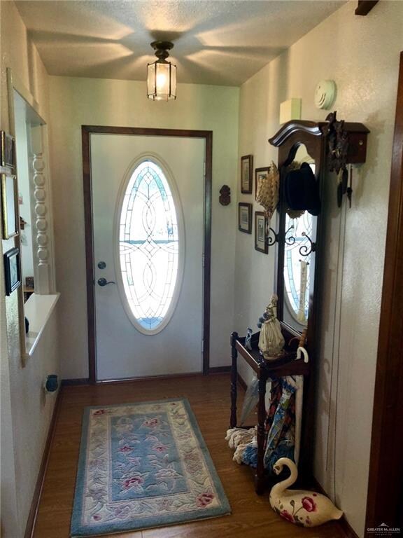 843 Palm Dr, Alamo, TX 78516 - photo 2