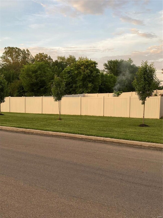 601 Ridge Haven, Farmington, MO 63640 - photo 5