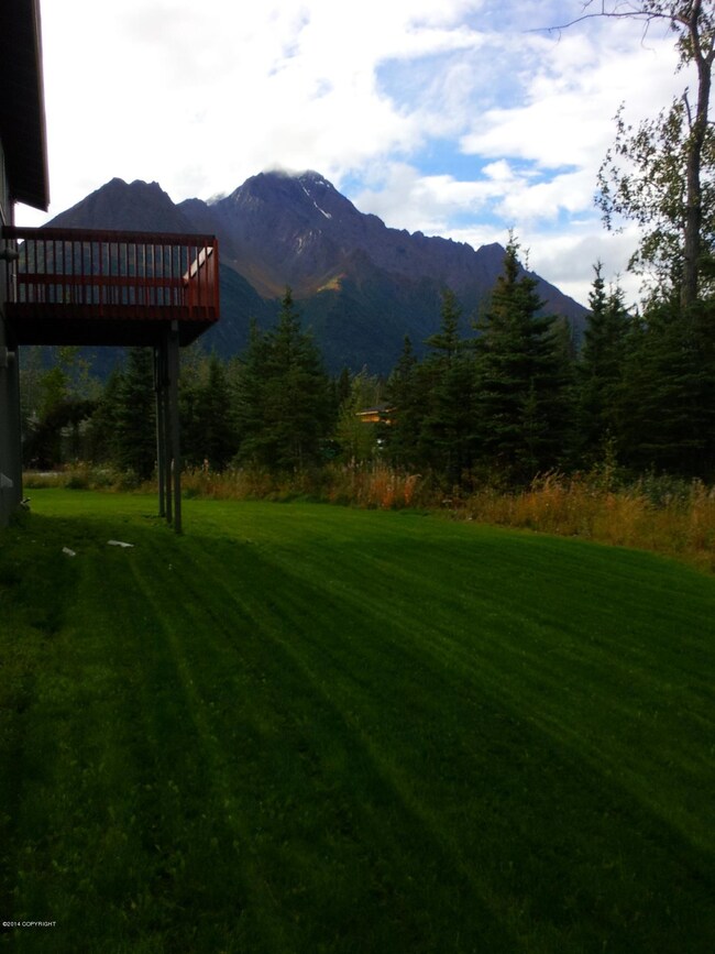Yard/Mountains