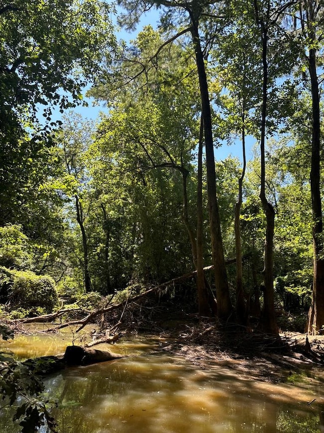 219 Chestnut Dr, Eastman, GA 31023 - photo 6