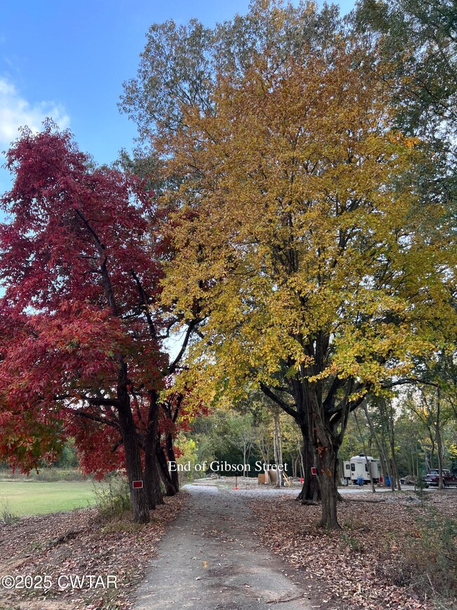 712 Gibson St, Trenton, TN 38382 - photo 5