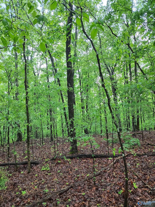 Lot 0 Huskey Mountain Rd, Laceys Spring, AL 35754 - photo 2