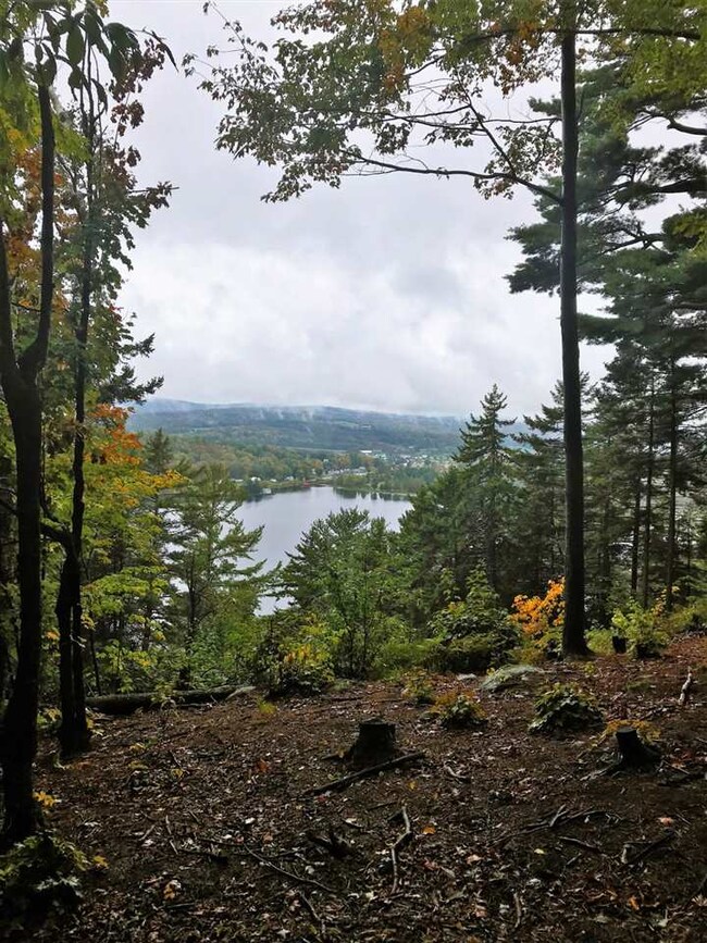 - Pageant Park Rd, Barton, VT 05822 - photo 4