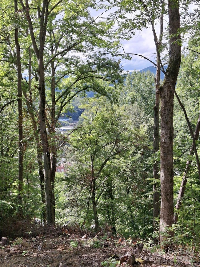 79 Bacon Dr unit 3, Bryson City, NC 28713 - photo 6