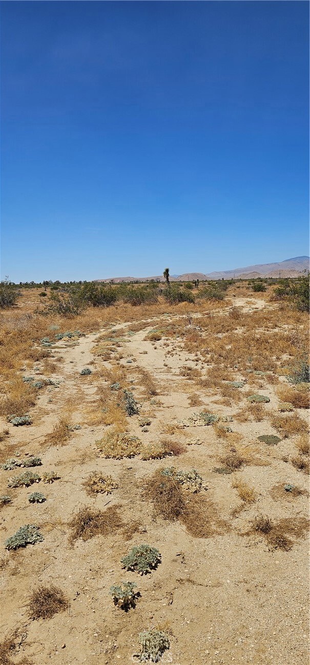 0 E Longhorn unit SR22218839, Mojave, CA 93501 - photo 2