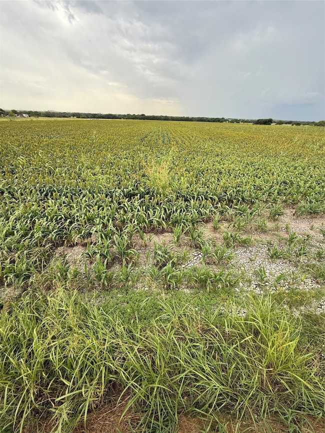 000 County Road 237, Gainesville, TX 76240 - photo 6