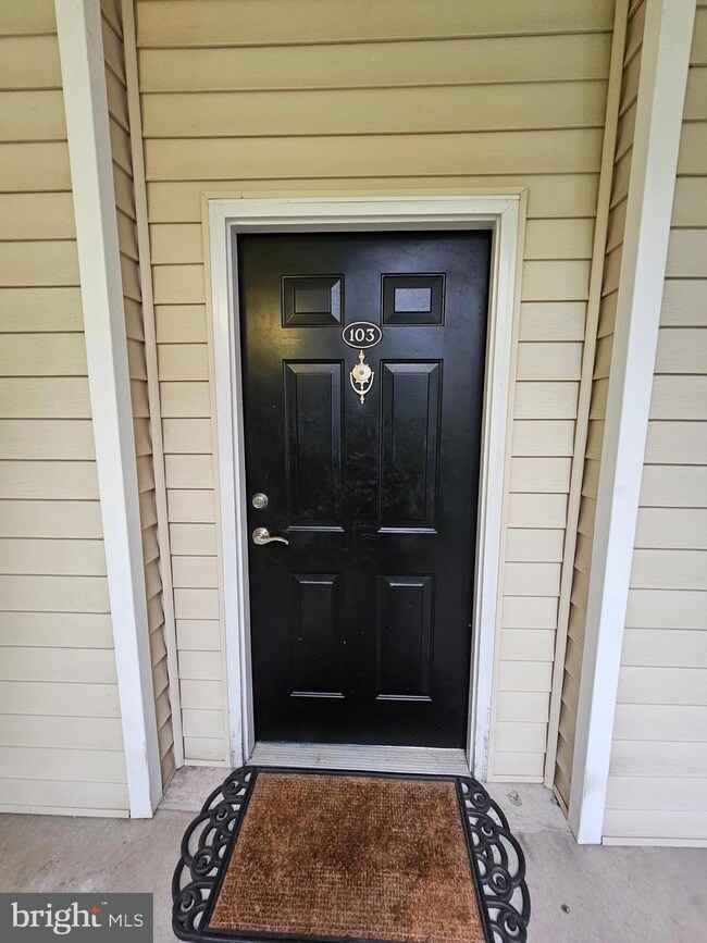 Bryson At Woodland Park unit 103, Herndon, VA 20171 - photo 4