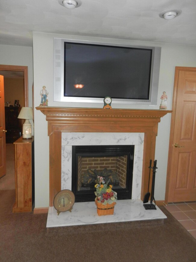 living room fireplace/ TV
