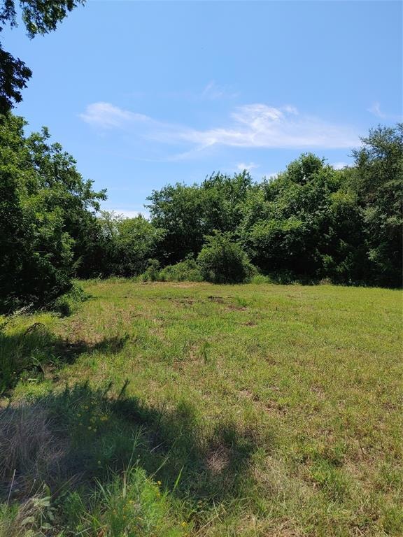 TBD Uz Rd N, Forestburg, TX 76239 - photo 3