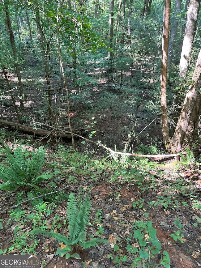 0 Fears Rd unit 10647985, Madison, GA 30650 - photo 3