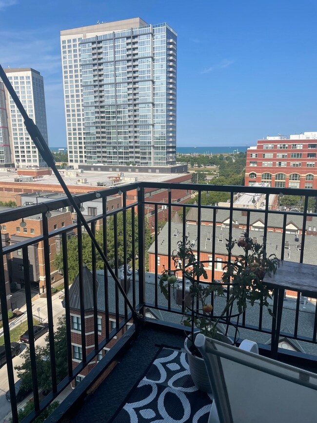 Prairie Avenue Lofts unit 811, Chicago, IL 60616 - photo 2