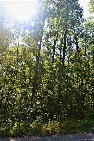 Tall hardwoods