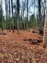 Property from Road