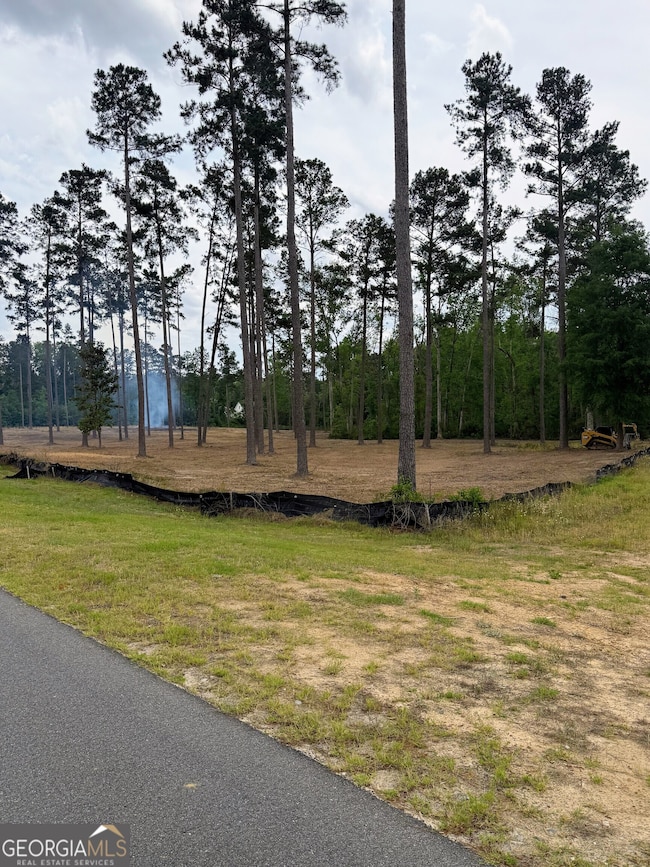 0 E Lake Dr unit 10568706, Statesboro, GA 30458 - photo 3