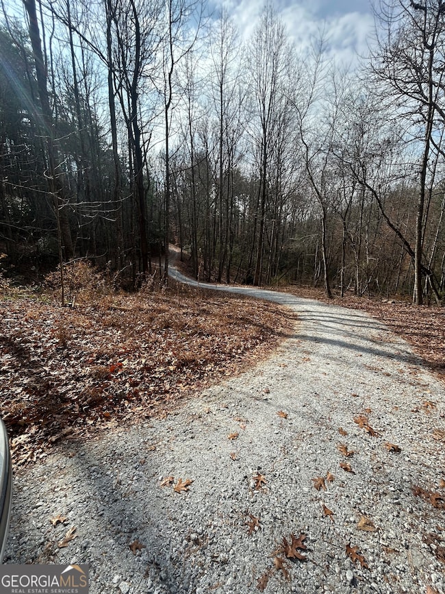 0 Amaryllis Ln unit 10647717, Tiger, GA 30576 - photo 2