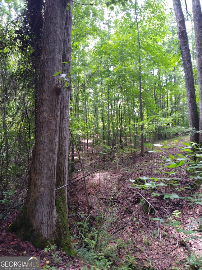 0 Hawkins Academy Rd unit 10561655, Social Circle, GA 30025 - photo 6