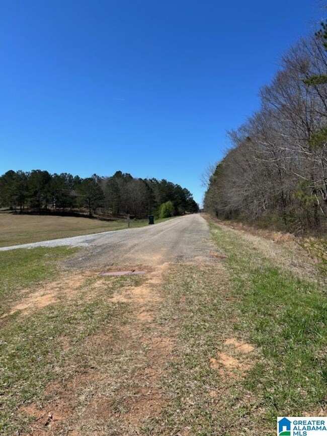 0 Cathedral Ln unit 4 21413575, Mc Calla, AL 35111 - photo 2