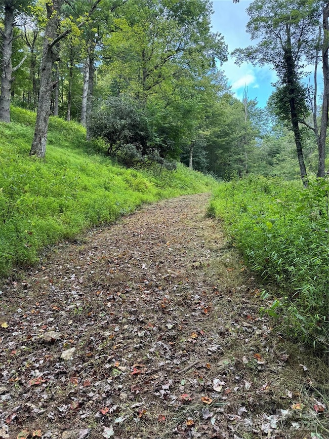 TBD Wyeth Dr unit 11, Blowing Rock, NC 28605 - photo 3