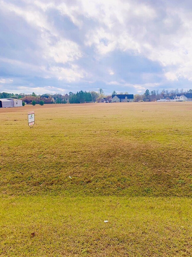 TBD Sam Sells Rd, Moultrie, GA 31768 - photo 2
