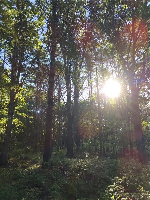 Lot 2 Tall Staples Rd, Newfield, ME 04056 - photo 4