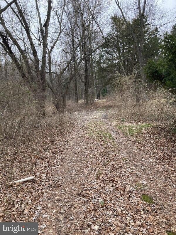 108 Kelly Driver Rd, Clementon, NJ 08021 - photo 5