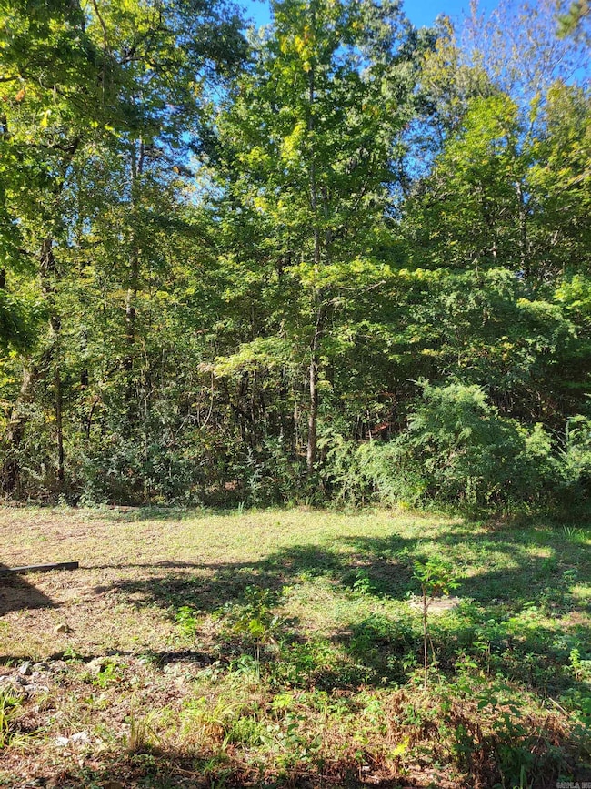 000 Coleman Ave, Little Rock, AR 72211 - photo 3