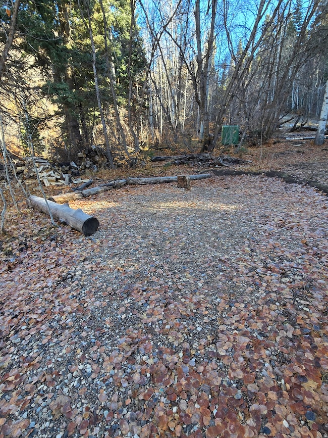 827 E North Fork Rd S unit 827, Fairview, UT 84629 - photo 3