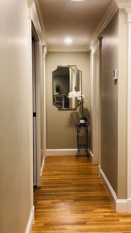 19 Bluebird Rd, Wellesley Hills, MA 02481 - photo 6