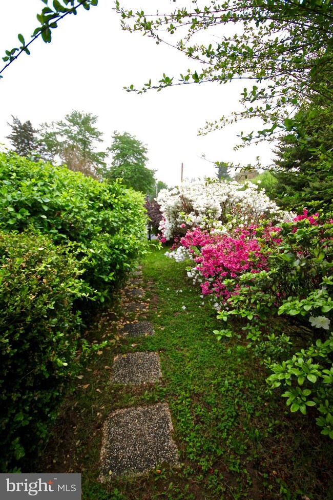 3626 Solomons Island Rd, Edgewater, MD 21037 - photo 3