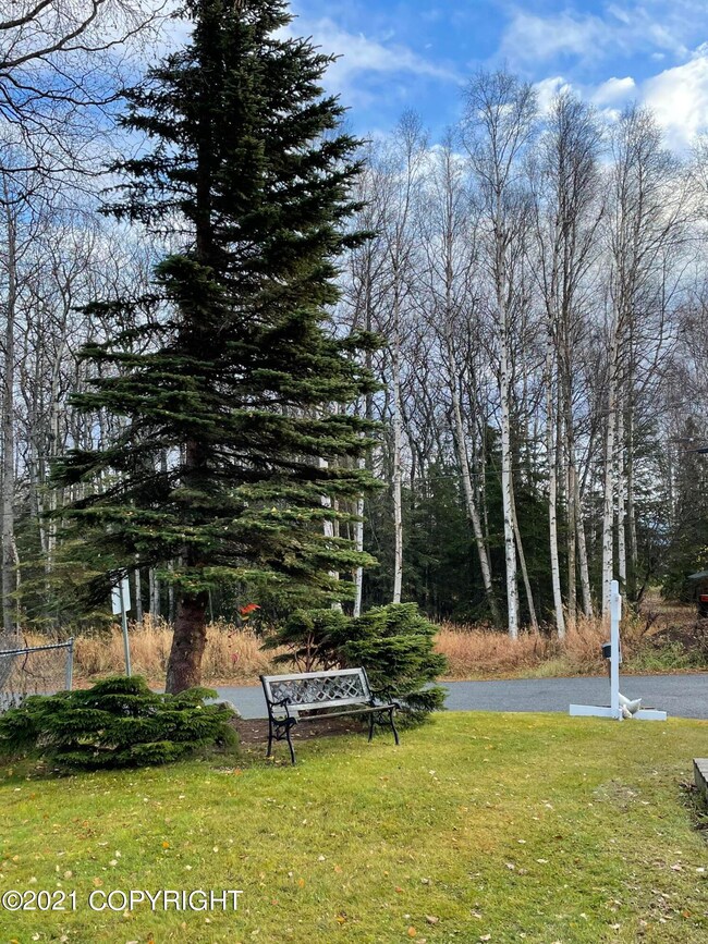 View from Front Door