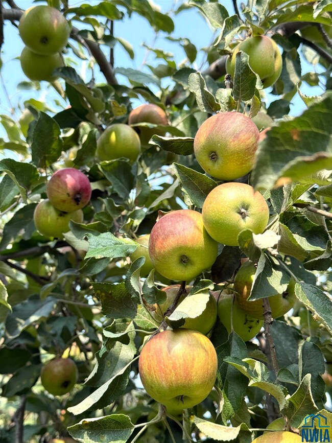 22954 Park Loop, Onawa, IA 51040 - photo 7