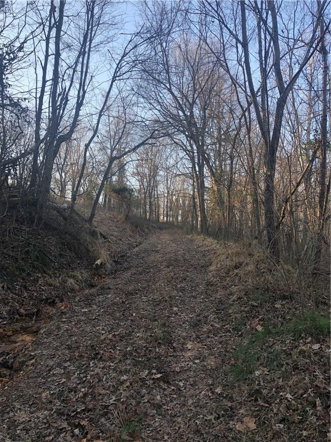 14259 Lott Rd, Elm Springs, AR 72762 - photo 5