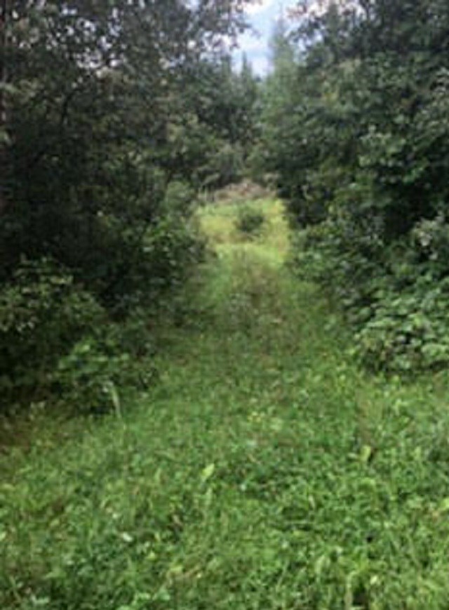 M417 L104.1 Marshall Hill Rd, Columbia, NH 03576 - photo 2