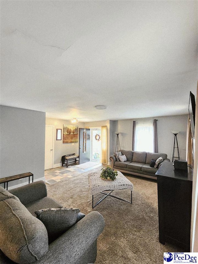 1321 E Washington St, Dillon, SC 29536 - photo 3