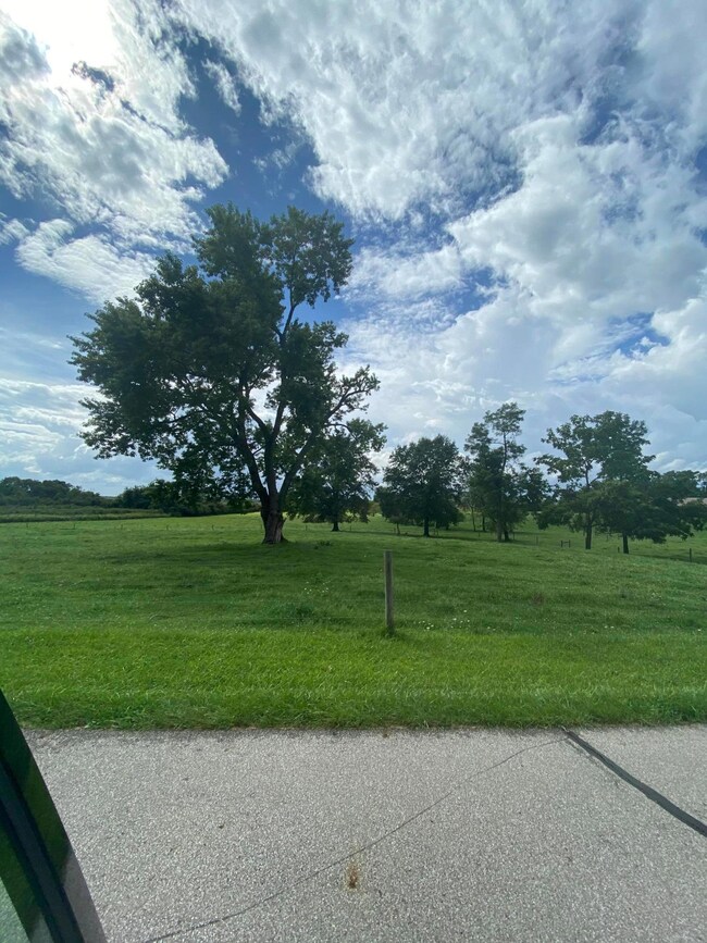 9632 Licking Trails Rd, Thornville, OH 43076 - photo 3