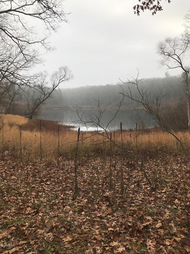 0 Fiftieth Ave unit 16057148, Bitely, MI 49309 - photo 2