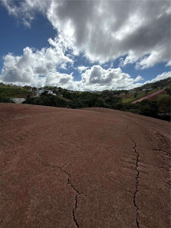 0 Carr 155 Km 31 2 Int Bo Barros unit Lote 3, Orocovis, PR 00720 - photo 2