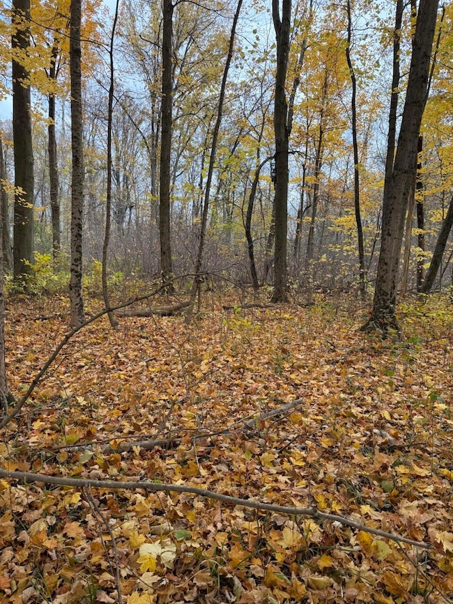 0 Vl Cr 653, Gobles, MI 49055 - photo 5