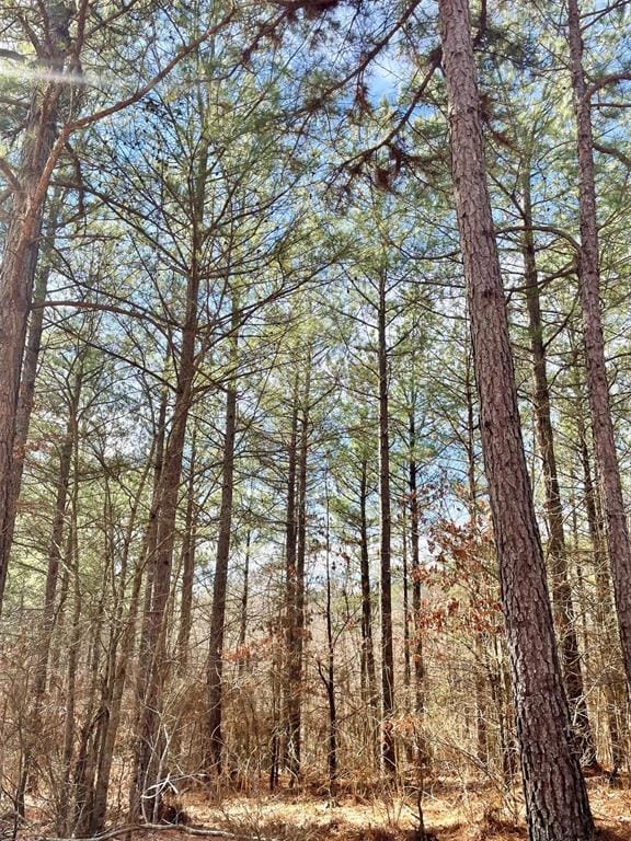 764 Timber Creek Trails South XI, Broken Bow, OK 74728 - photo 3