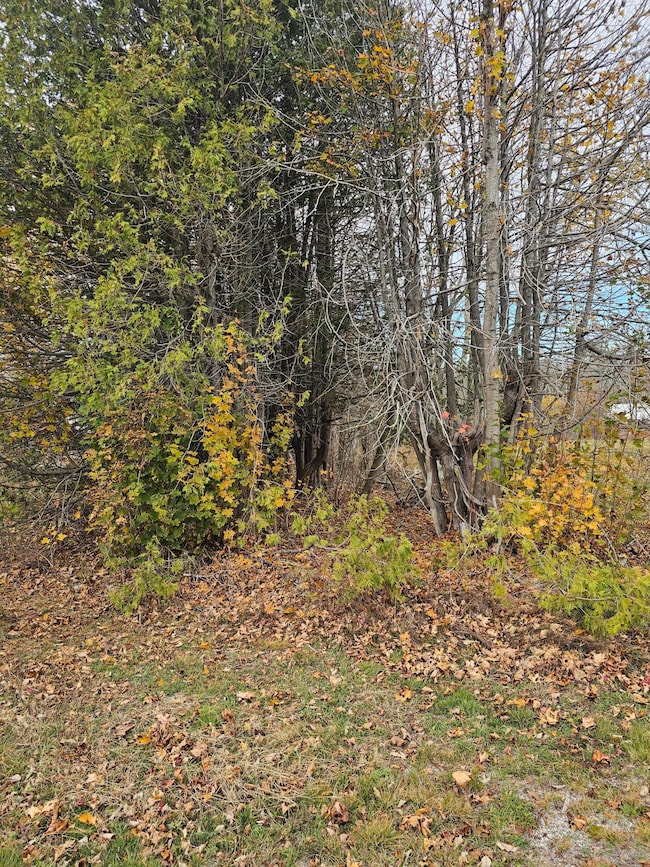 109 Main St, Franklin, ME 04634 - photo 2