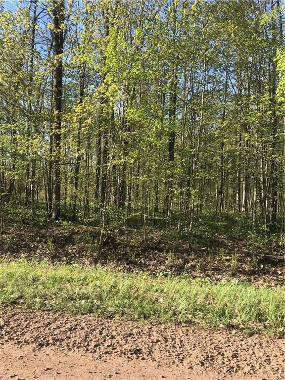 0 15th Ave, Rice Lake, WI 54868 - photo 3