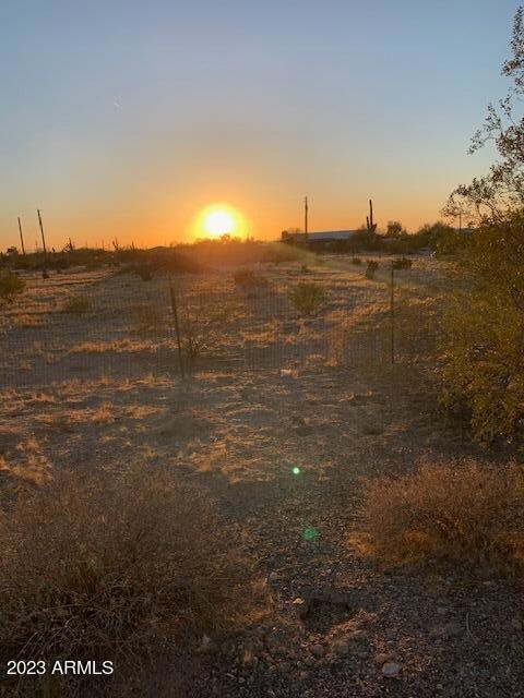 palo lot front 5