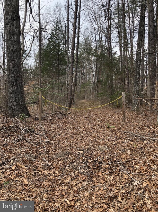 4910 Greenbranch St, Partlow, VA 22534 - photo 5