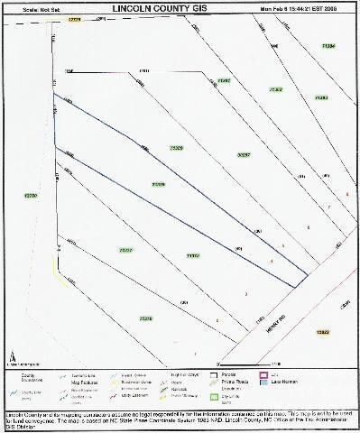 Lot 4 Henry Rd unit 4, Vale, NC 28168 - photo 6